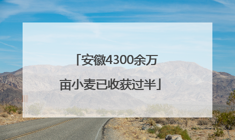 安徽4300余万亩小麦已收获过半