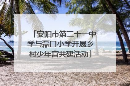 安阳市第二十一中学与磊口小学开展乡村少年宫共建活动