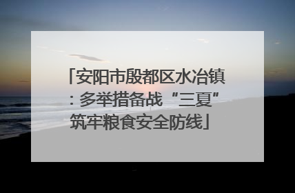 安阳市殷都区水冶镇：多举措备战“三夏” 筑牢粮食安全防线