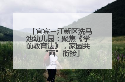 宜宾三江新区洗马池幼儿园：聚焦《学前教育法》，家园共“画”衔接