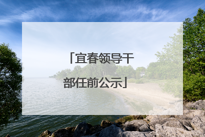 宜春领导干部任前公示