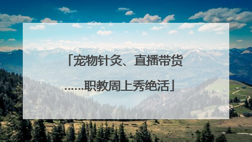 宠物针灸、直播带货……职教周上秀绝活