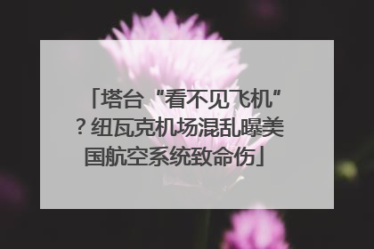 塔台“看不见飞机”？纽瓦克机场混乱曝美国航空系统致命伤