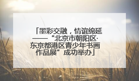墨彩交融，情谊绵延——“北京市朝阳区·东京都港区青少年书画作品展”成功举办