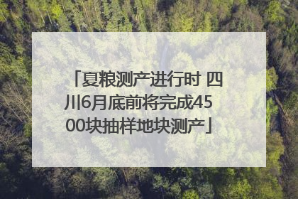 夏粮测产进行时 四川6月底前将完成4500块抽样地块测产