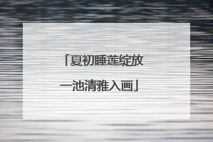 夏初睡莲绽放 一池清雅入画