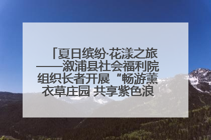 夏日缤纷·花漾之旅——溆浦县社会福利院组织长者开展“畅游薰衣草庄园 共享紫色浪漫”户外活动