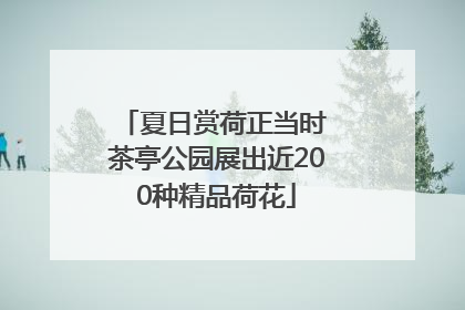 夏日赏荷正当时 茶亭公园展出近200种精品荷花