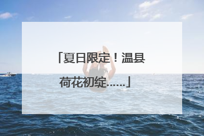 夏日限定！温县荷花初绽……