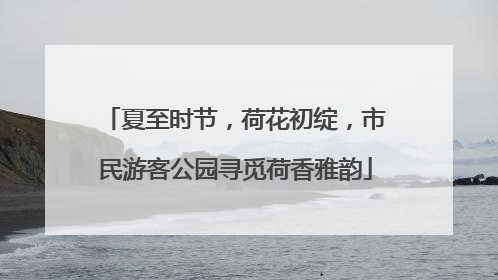 夏至时节，荷花初绽，市民游客公园寻觅荷香雅韵