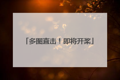 多图直击！即将开桨