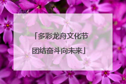 多彩龙舟文化节 团结奋斗向未来