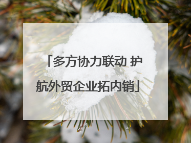 多方协力联动 护航外贸企业拓内销