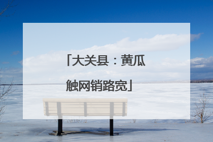 大关县：黄瓜触网销路宽