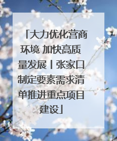 大力优化营商环境 加快高质量发展丨张家口制定要素需求清单推进重点项目建设