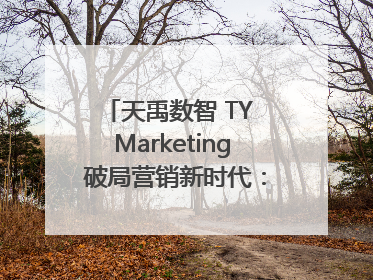 天禹数智 TY Marketing 破局营销新时代:智能体赋能与人才培育双轮驱动