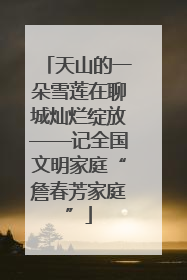 天山的一朵雪莲在聊城灿烂绽放——记全国文明家庭“詹春芳家庭”
