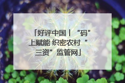 好评中国丨“码”上赋能 织密农村“三资”监管网