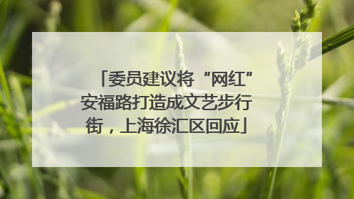 委员建议将“网红”安福路打造成文艺步行街，上海徐汇区回应