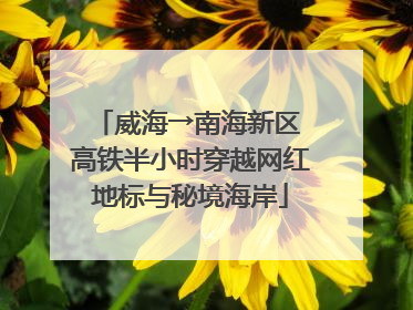 威海→南海新区 高铁半小时穿越网红地标与秘境海岸