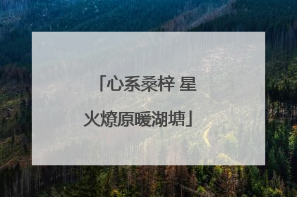 心系桑梓 星火燎原暖湖塘
