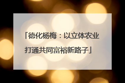 德化杨梅：以立体农业打通共同富裕新路子