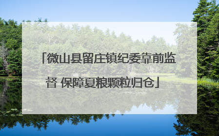 微山县留庄镇纪委靠前监督 保障夏粮颗粒归仓