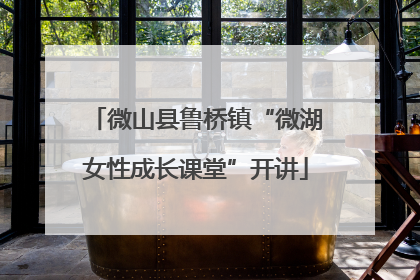 微山县鲁桥镇“微湖女性成长课堂”开讲