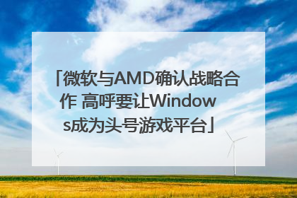 微软与AMD确认战略合作 高呼要让Windows成为头号游戏平台