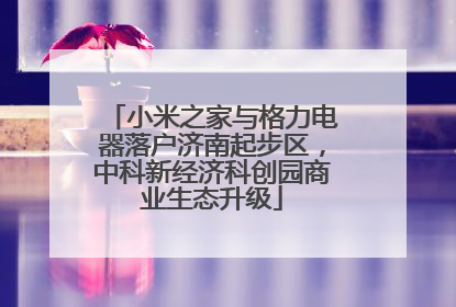 小米之家与格力电器落户济南起步区，中科新经济科创园商业生态升级