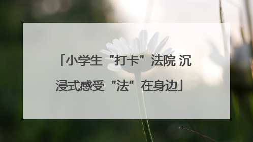 小学生“打卡”法院 沉浸式感受“法”在身边
