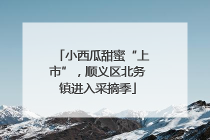 小西瓜甜蜜“上市”，顺义区北务镇进入采摘季