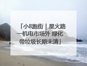 小8跑街｜星火路一机电市场外 绿化带垃圾长期未清