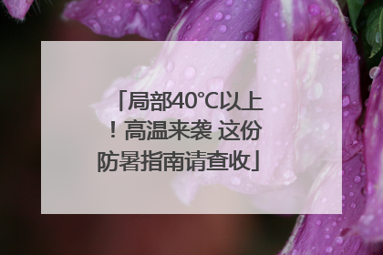 局部40℃以上！高温来袭 这份防暑指南请查收