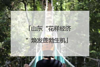 山东“花样经济”焕发蓬勃生机