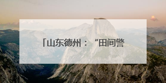 山东德州：“田间警务”为丰收保驾护航