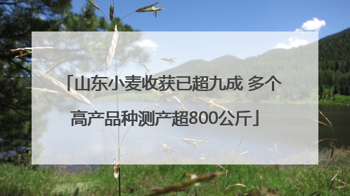 山东小麦收获已超九成 多个高产品种测产超800公斤