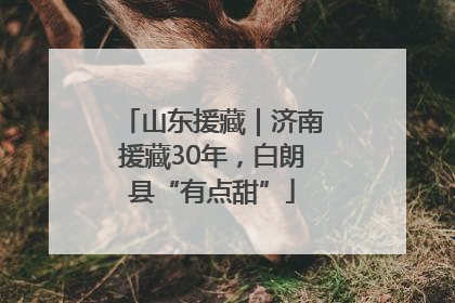 山东援藏｜济南援藏30年，白朗县“有点甜”