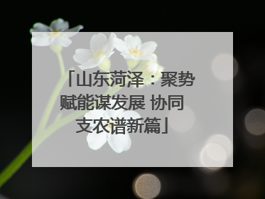 山东菏泽：聚势赋能谋发展 协同支农谱新篇