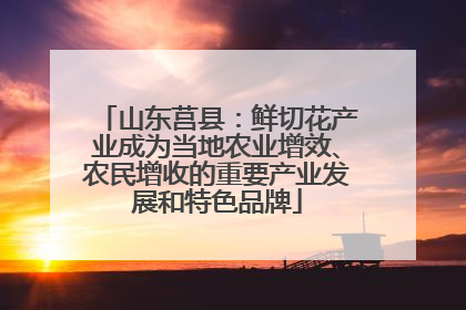 山东莒县：鲜切花产业成为当地农业增效、农民增收的重要产业发展和特色品牌