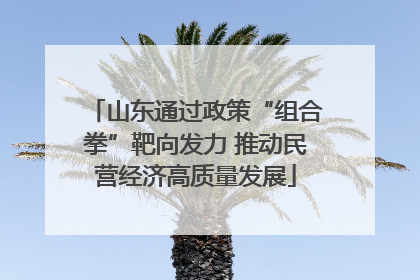 山东通过政策“组合拳”靶向发力 推动民营经济高质量发展