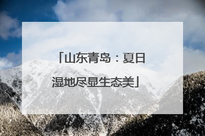 山东青岛：夏日湿地尽显生态美