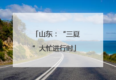 山东：“三夏”大忙进行时