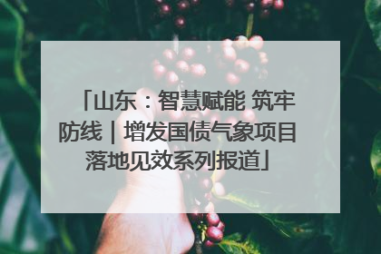 山东：智慧赋能 筑牢防线｜增发国债气象项目落地见效系列报道