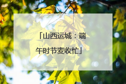 山西运城：端午时节麦收忙