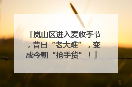 岚山区进入麦收季节，昔日“老大难”，变成今朝“抢手货”！