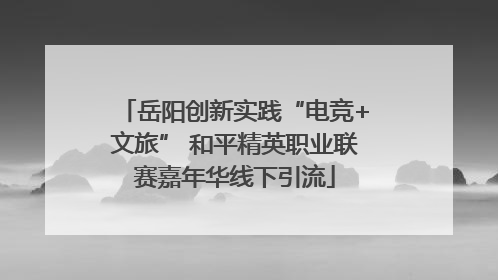 岳阳创新实践“电竞+文旅” 和平精英职业联赛嘉年华线下引流