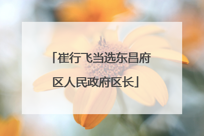 崔行飞当选东昌府区人民政府区长