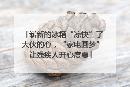 崭新的冰箱“凉快”了大伙的心，“家电圆梦”让残疾人开心度夏