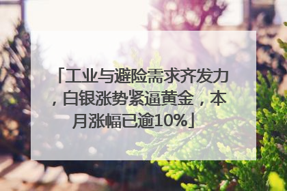 工业与避险需求齐发力，白银涨势紧逼黄金，本月涨幅已逾10%